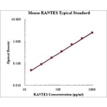 Standard Curve - Mouse CCL5 ELISA Kit (EK2129) - Antibodies.com
