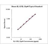 Standard Curve - Mouse IL-12 p40 ELISA Kit (EK2183) - Antibodies.com