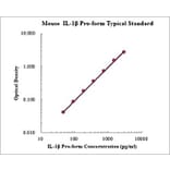 Standard Curve - Mouse IL-1 beta (Pro-form) ELISA Kit (EK2195) - Antibodies.com