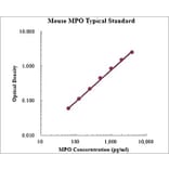 Standard Curve - Mouse Myeloperoxidase ELISA Kit (EK2133) - Antibodies.com