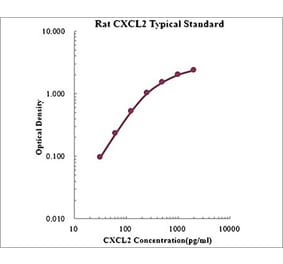 Standard Curve - Rat CXCL2 ELISA Kit (EK3142) - Antibodies.com