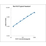 Standard Curve - Rat EGF ELISA Kit (EK393) - Antibodies.com