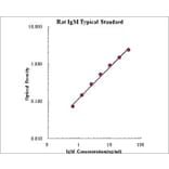 Standard Curve - Rat IgM ELISA Kit (EK376) - Antibodies.com