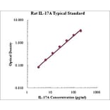 Standard Curve - Rat IL-17A ELISA Kit (EK317) - Antibodies.com