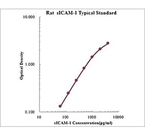 Standard Curve - Rat ICAM1 ELISA Kit (EK389) - Antibodies.com