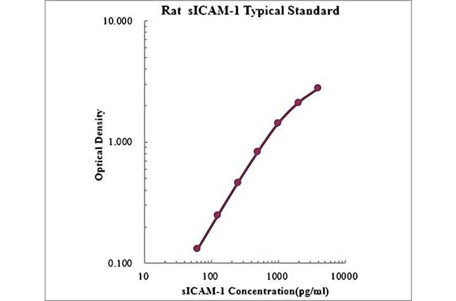 Standard Curve - Rat ICAM1 ELISA Kit (EK389) - Antibodies.com