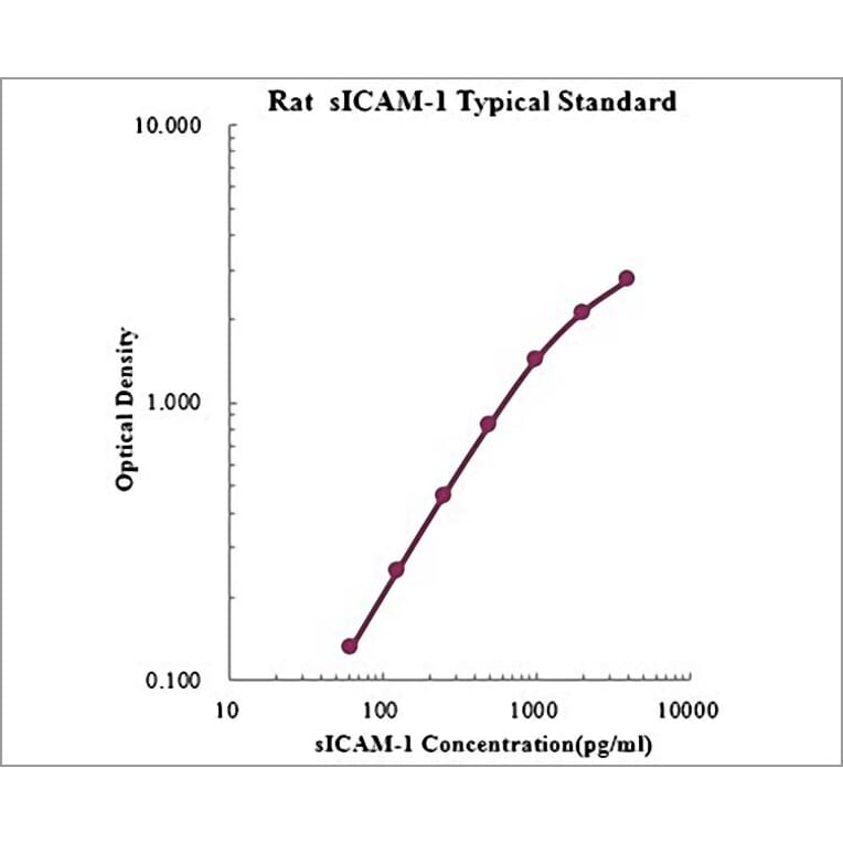 Standard Curve - Rat ICAM1 ELISA Kit (EK389) - Antibodies.com