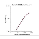 Standard Curve - Rat ICAM1 ELISA Kit (EK389) - Antibodies.com