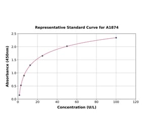 Standard Curve - Rat HO-2 ELISA Kit (A1874) - Antibodies.com