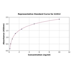 Standard Curve - Rat PYGM ELISA Kit (A1912) - Antibodies.com