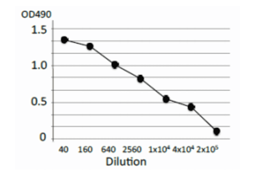 Titration of antibody reactivity of MAb (cj-01) by indirect ELISA, using crude extract of Campylobacter jejuni.