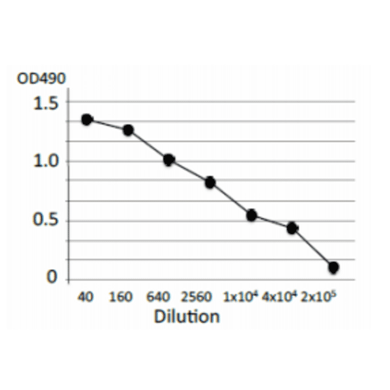 Titration of antibody reactivity of MAb (cj-01) by indirect ELISA, using crude extract of Campylobacter jejuni.