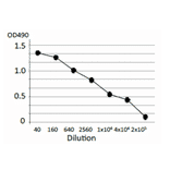Titration of antibody reactivity of MAb (cj-01) by indirect ELISA, using crude extract of Campylobacter jejuni.