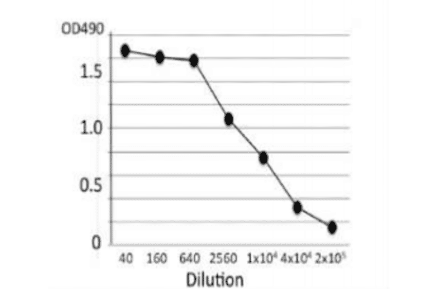 Titration of antibody reactivity of MAb (se-01) by indirect ELISA using crude extract of S. Enteritidis