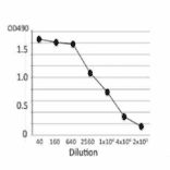 Titration of antibody reactivity of MAb (se-01) by indirect ELISA using crude extract of S. Enteritidis