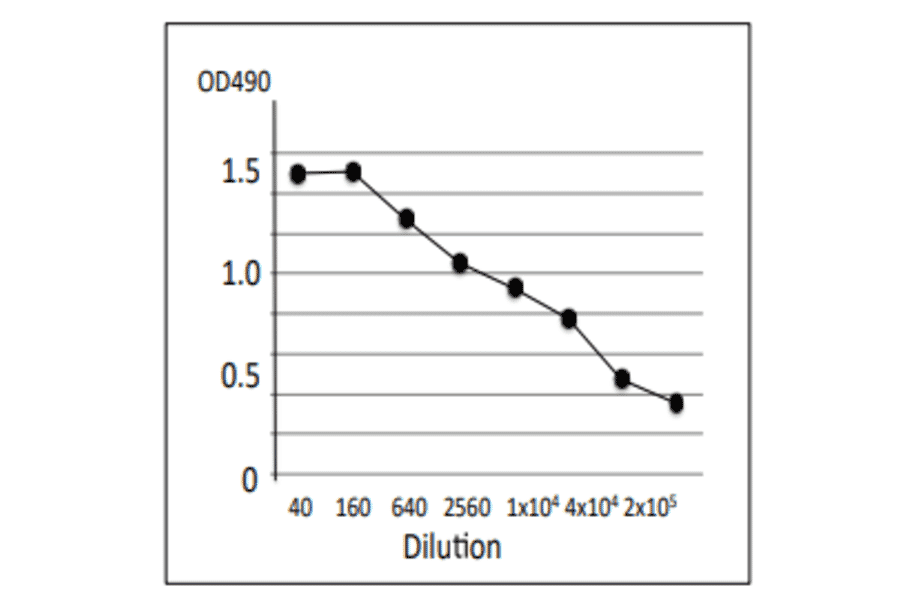 Titration of antibody reactivity of MAb (vp-1) by indirect ELISA, using culture medium of V. parahaemolyticus trh+