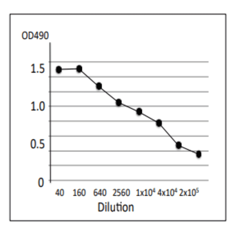 Titration of antibody reactivity of MAb (vp-1) by indirect ELISA, using culture medium of V. parahaemolyticus trh+