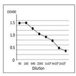 Titration of antibody reactivity of MAb (vp-1) by indirect ELISA, using culture medium of V. parahaemolyticus trh+