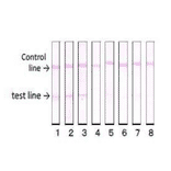 Reactivity of the antibody (vero-1) with various food poisoning bacteria in immunochromatographic strip test.