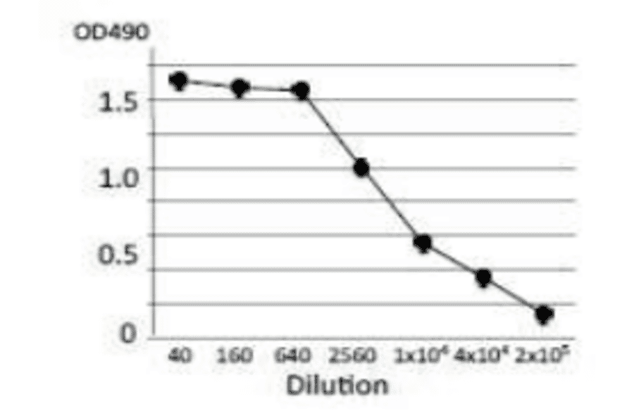 Titration of antibody reactivity of the monoclonal antibody by indirect ELISA using crude extract of E.coli O157:H7