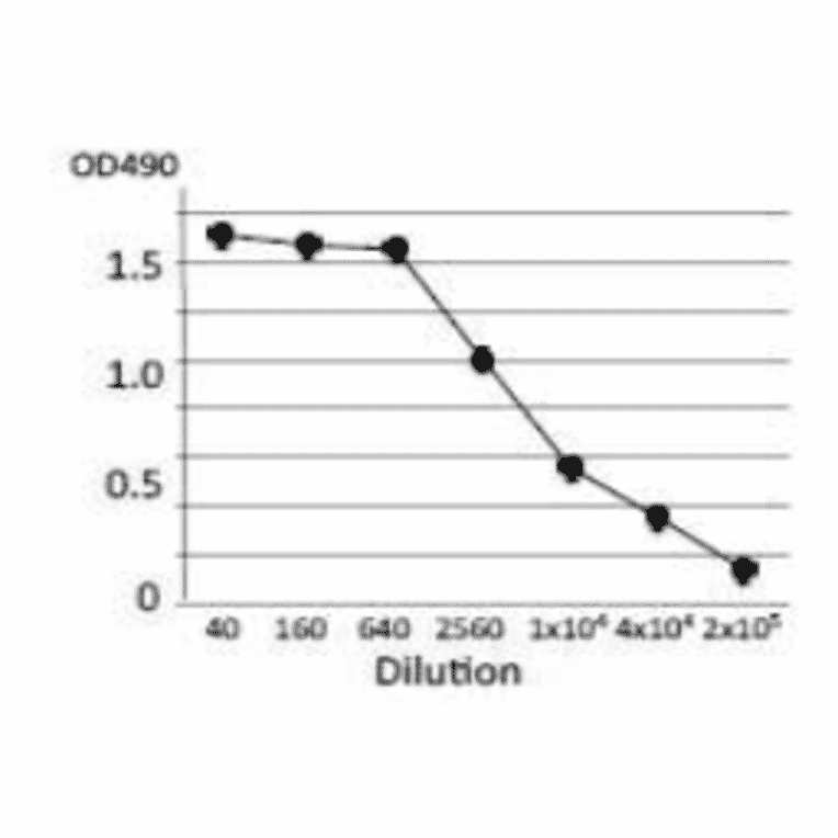 Titration of antibody reactivity of the monoclonal antibody by indirect ELISA using crude extract of E.coli O157:H7
