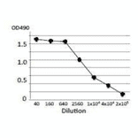 Titration of antibody reactivity of the monoclonal antibody by indirect ELISA using crude extract of E.coli O157:H7
