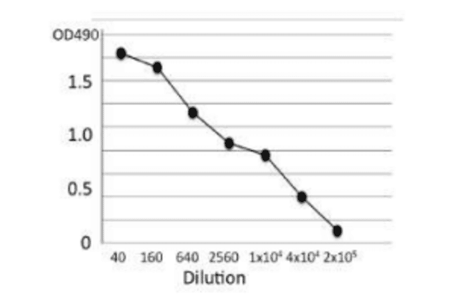 Titration of antibody reactivity of the MAb (bc-01) by indirect ELISA using crude extract of B. cereus