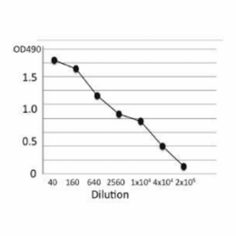 Titration of antibody reactivity of the MAb (bc-01) by indirect ELISA using crude extract of B. cereus