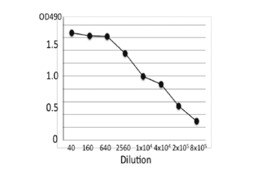 Titration of antibody reactivity of MAb (cp-02) by indirect ELISA using culture medium of C. perfringens.