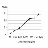 Titration of collagenase in culture medium of C. perfringens by indirect ELISA using MAb (cp-02).