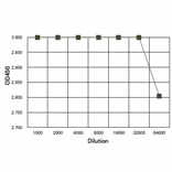 HU-induced focus formation of Rad52. U2OS 40-2-6 cells were untreated or treated with 2mM hydroxyurea (HU) for 24 h. The cells were pre-extracted with 0.1% TritonX-100 in PBS, fixed with 3.7% formaldehyde in PBS, and immunostained with Anti-Rad52 Antibody (green) at 1:50 dilution, followed by DAPI staining (blue). Goat Anti-Rabbit IgG Antibody (CF488A) was used as a secondary at 1:1,000 dilution. TritonX-100 treatment extracts chromatin-free Rad52 from nuclei. Scale bars, 20 µm.