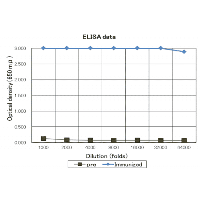 Titration of antibody reactivity of anti-Legionella pneumophila antiserum by direct ELISA