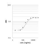 Titration of enterotoxin of C. perfringens by indirect ELISA using th anti-CPE antibody.
