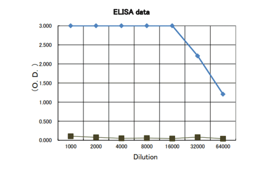 Indirect ELISA of P. multocida Toxin.