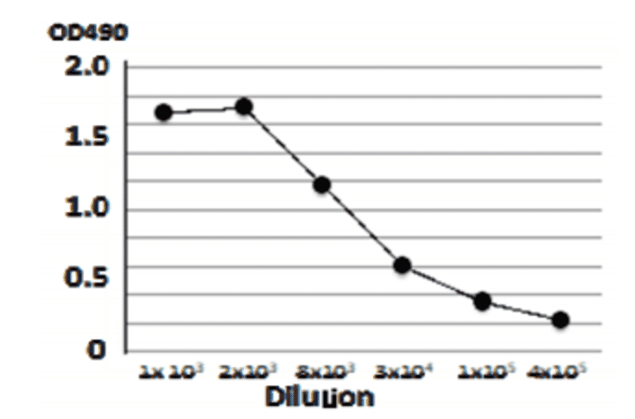 Titration of antibody reactivity of anti-Vero Toxin by indirect ELISA using crude extract of E.coli O157:H7