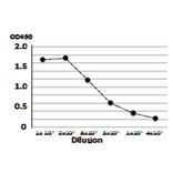 Titration of antibody reactivity of anti-Vero Toxin by indirect ELISA using crude extract of E.coli O157:H7