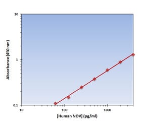Standard Curve - Human NOV ELISA Kit (OK-0153) - Antibodies.com