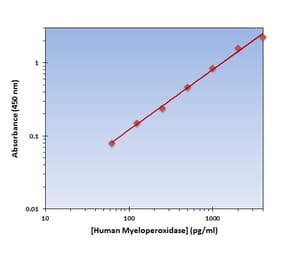 Standard Curve - Human Myeloperoxidase ELISA Kit (OK-0343) - Antibodies.com