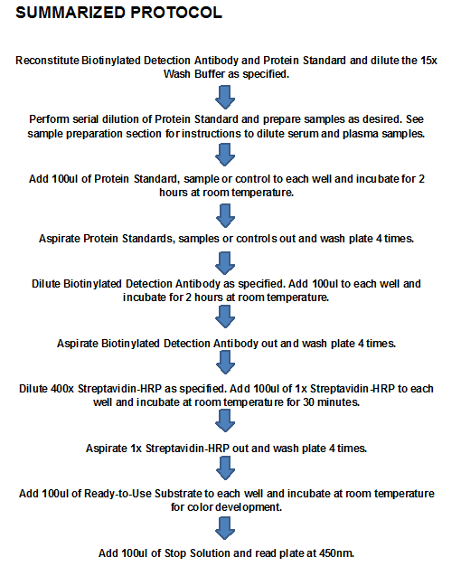 Human I-TAC ELISA Kit (A101906)