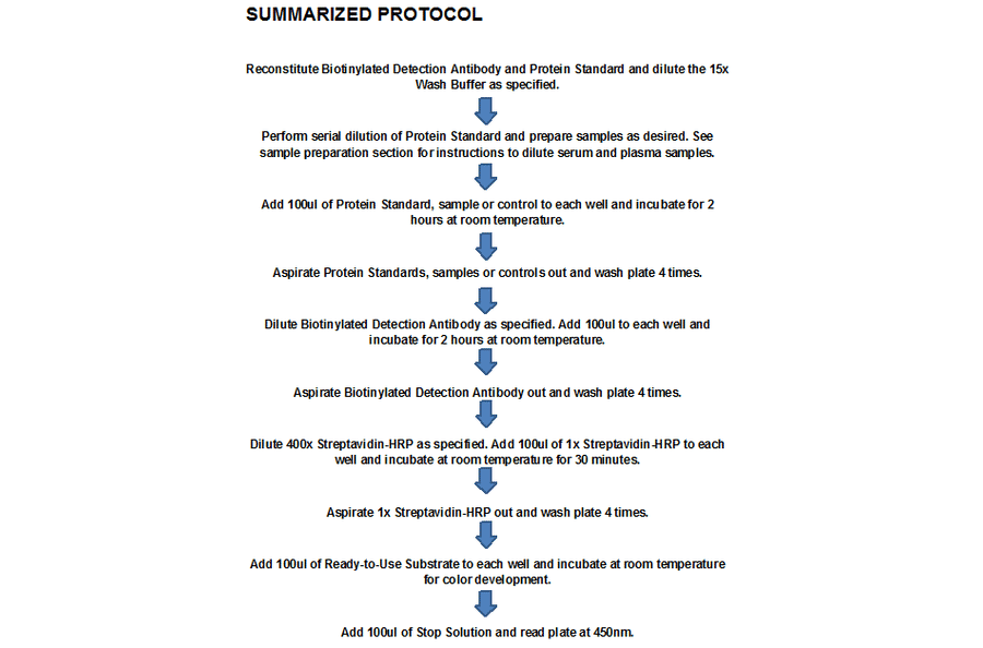 Protocol Summary - Human Flt-3 Ligand ELISA Kit (OK-0222) - Antibodies.com