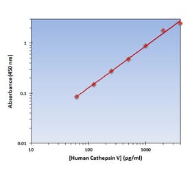 Standard Curve - Human Cathepsin V ELISA Kit (OK-0306) - Antibodies.com
