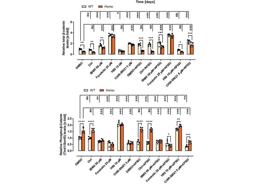 ELISA - beta Catenin (phospho Thr41 + Ser45) Cell Based ELISA Kit - Antibodies.com