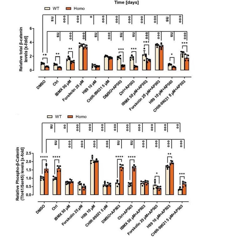ELISA - beta Catenin (phospho Thr41 + Ser45) Cell Based ELISA Kit - Antibodies.com