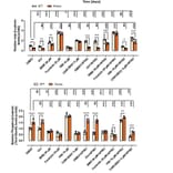 ELISA - beta Catenin (phospho Thr41 + Ser45) Cell Based ELISA Kit - Antibodies.com
