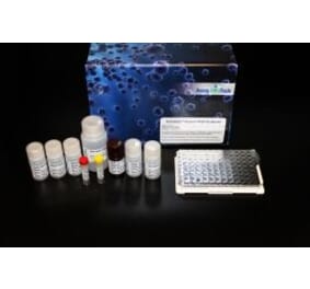 Standard Curve - Human Thrombospondin-2 ELISA Kit (Lum-8360) - Antibodies.com