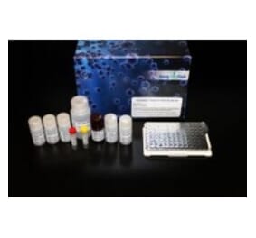Standard Curve - Human Thrombopoietin ELISA Kit (Lum-8358) - Antibodies.com