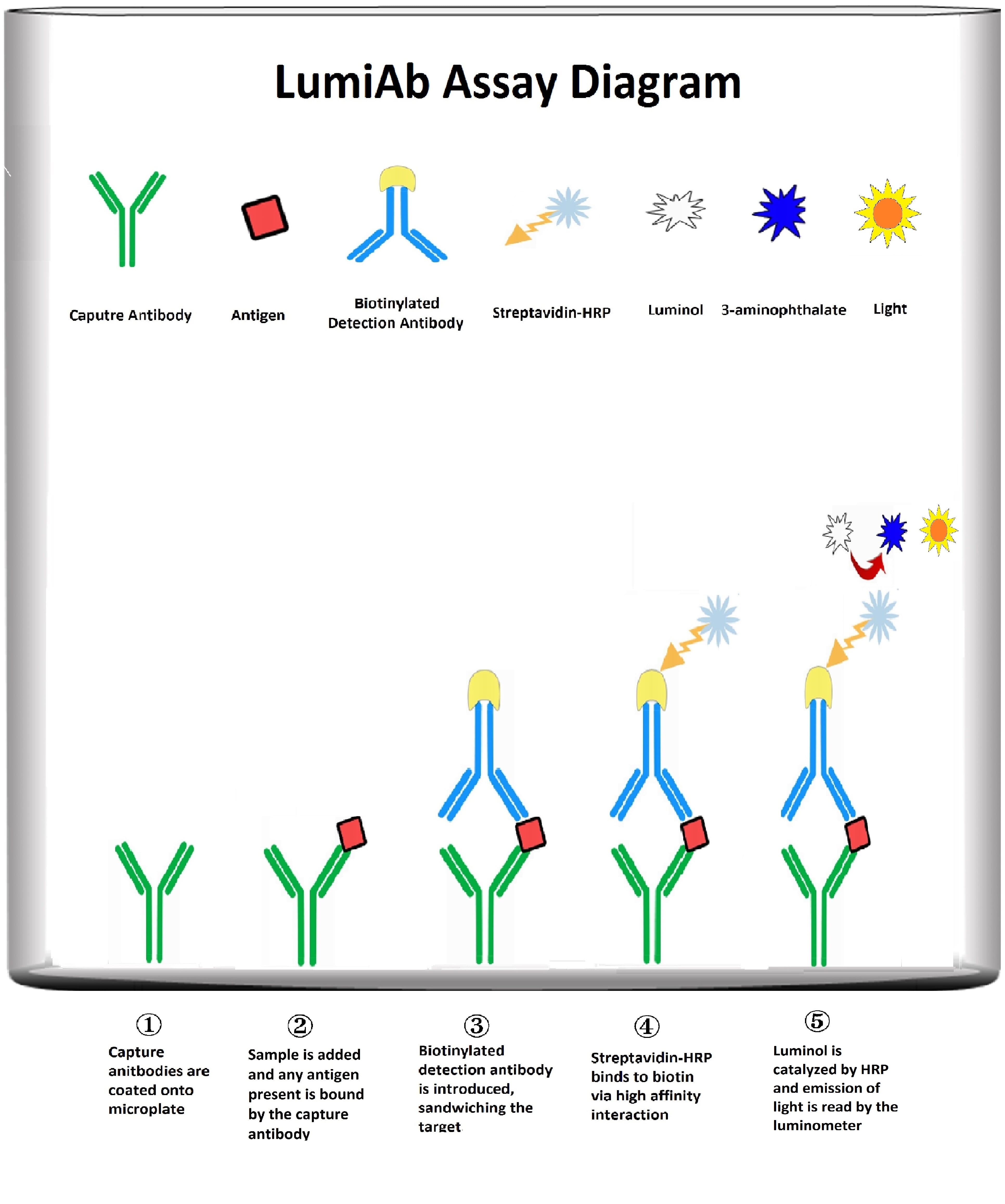 Human TNF alpha ELISA Kit (A103892)