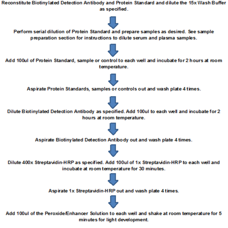 Protocol Summary - Mouse IL-1 beta ELISA Kit (Lum-8182) - Antibodies.com