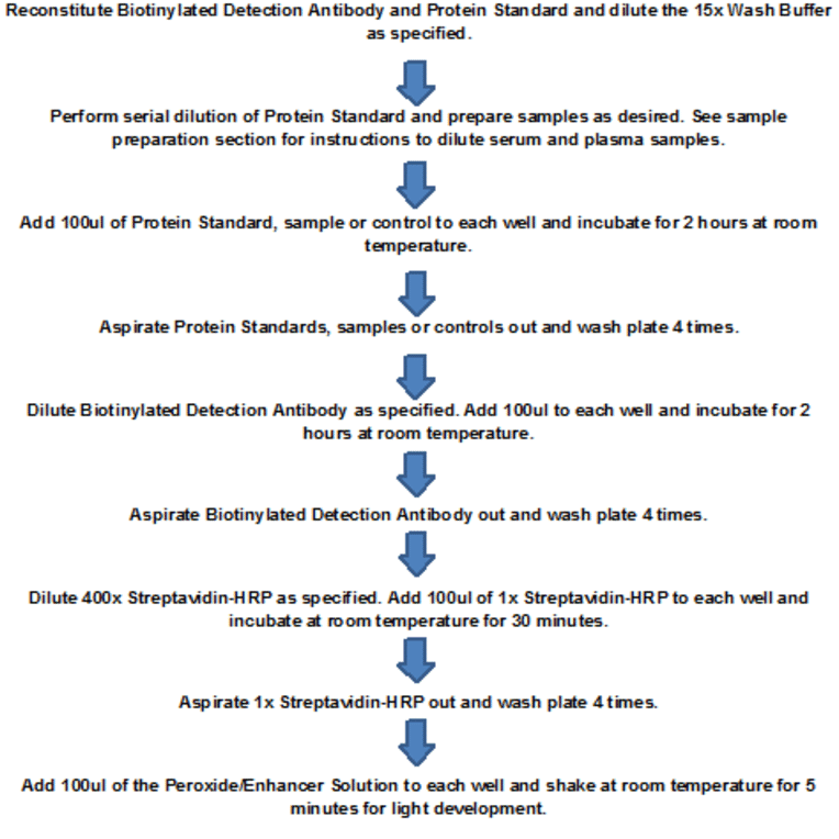 Protocol Summary - Human TGF alpha ELISA Kit (Lum-8263) - Antibodies.com