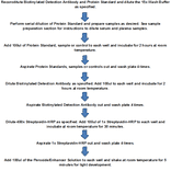 Protocol Summary - Human GRO beta ELISA Kit (Lum-8120) - Antibodies.com